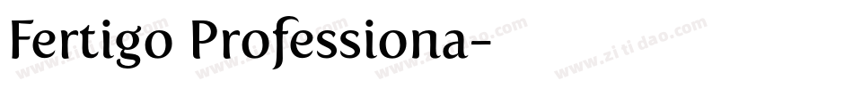 Fertigo Professiona字体转换